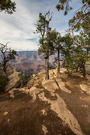 _MG_0195