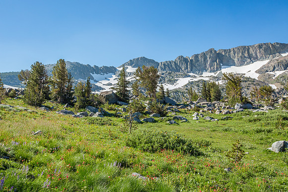_MG_9902