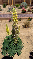 2025-07-08_14-20-09_813