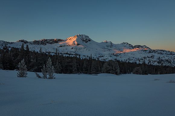 _MG_1850