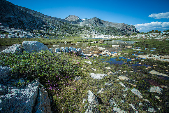 _MG_7186