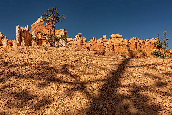 _MG_2788