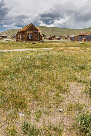 8C3A0421