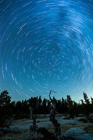 Polaris Star Trails - IMG_9166 rev