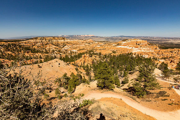 _MG_2782