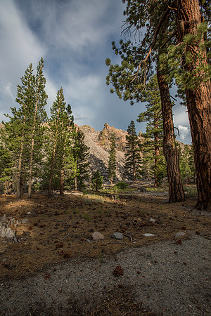 _MG_1356