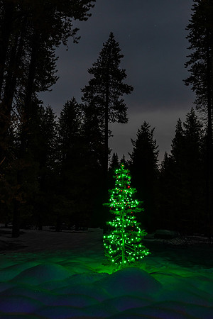 Donner Lake Christmas Tree