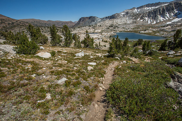 _MG_4360