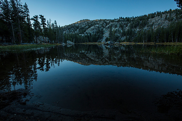 _MG_0504