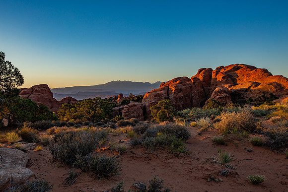 _MG_3163