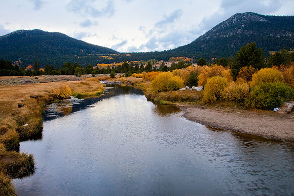 _MG_0797