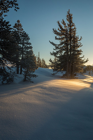 _MG_1882