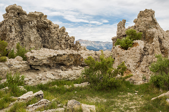 _MG_1341