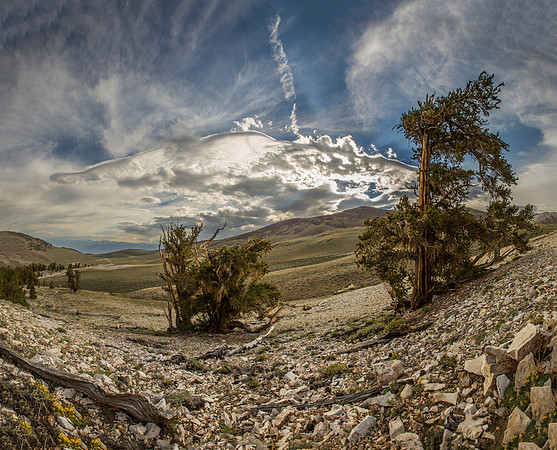 Sierra Wave Pano1