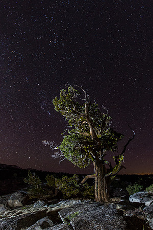 Winter Sky - Loon Lake - IMG_6225