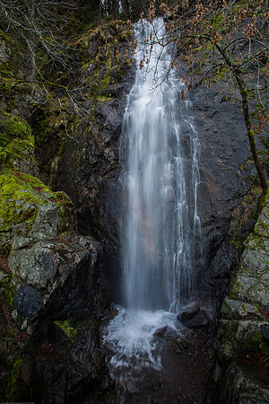 _MG_7612