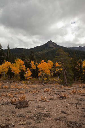 _MG_0675