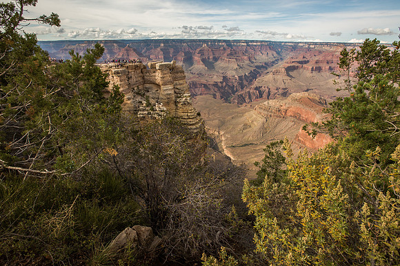 _MG_0176