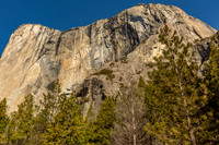 _MG_7255