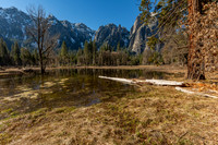 _MG_7251
