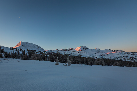 _MG_1835