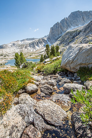 _MG_4361