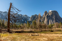 _MG_7259