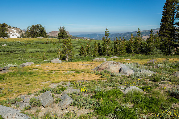 _MG_9903