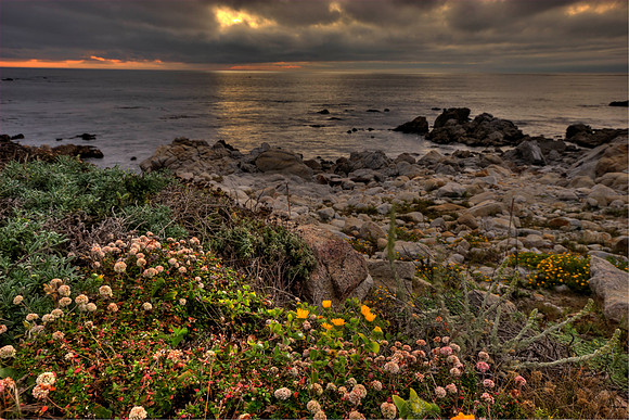 _MG_2159_7_8_tonemapped